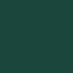 RAL 6005° – VSR 220